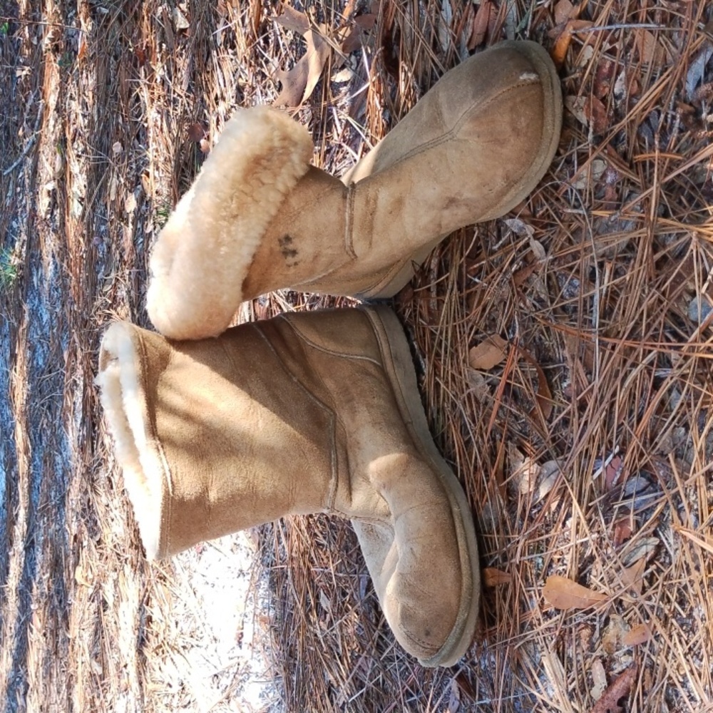 Rare Minnetonka Moccasin